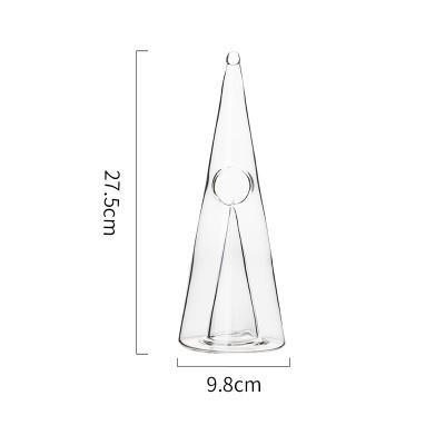 Kegelvormige wijnkaraf, separa - Decanter Aerator Set recensie en prijs